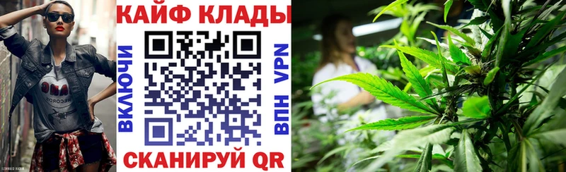 Купить закладку Новомичуринск Галлюциногенные грибы  Канабис  СОЛЬ  МЕФ  ГАШИШ 