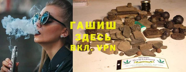 гашик Алексин