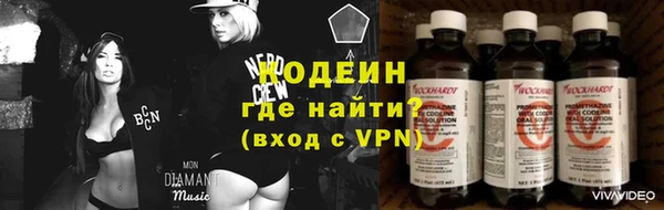 гашик Алексин