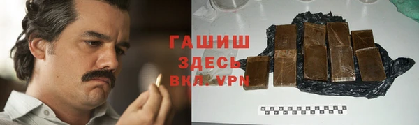гашик Алексин