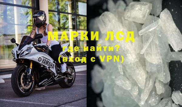 гашик Алексин