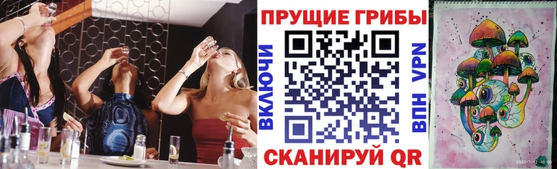 Псилоцибиновые грибы GOLDEN TEACHER  Новомичуринск 